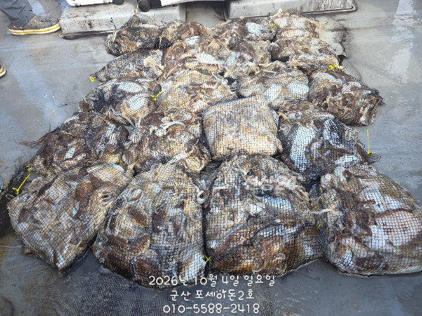 KakaoTalk_20261004_151723017.jpg