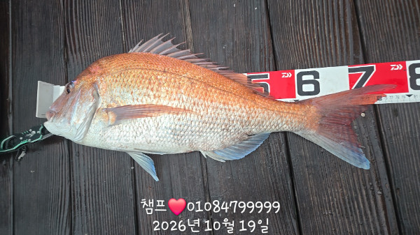 1000065093.jpg
