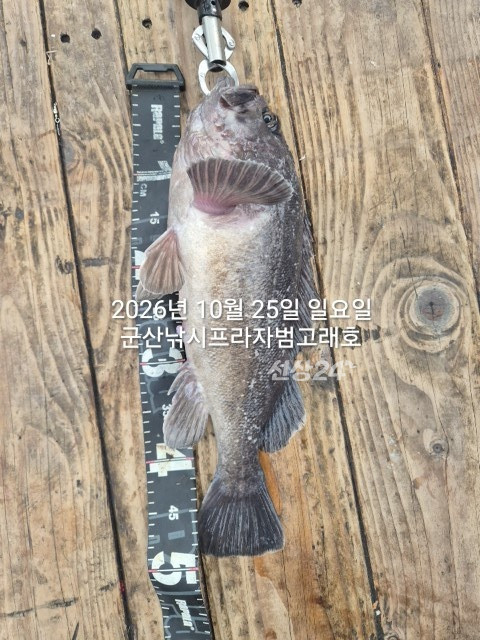 KakaoTalk_20261025_175724668_13.jpg
