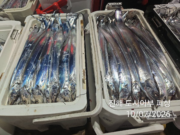 KakaoTalk_20261007_050419897_14.jpg