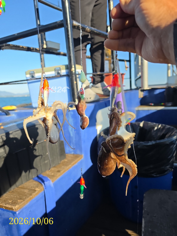 1791243418411.jpg
