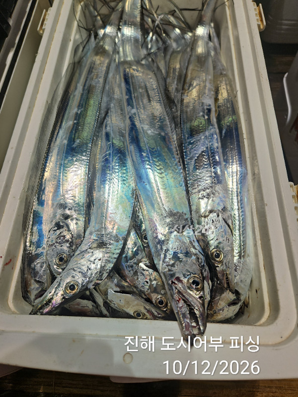 KakaoTalk_20261012_044857632_13.jpg