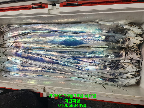 KakaoTalk_20261015_083100083_08.jpg
