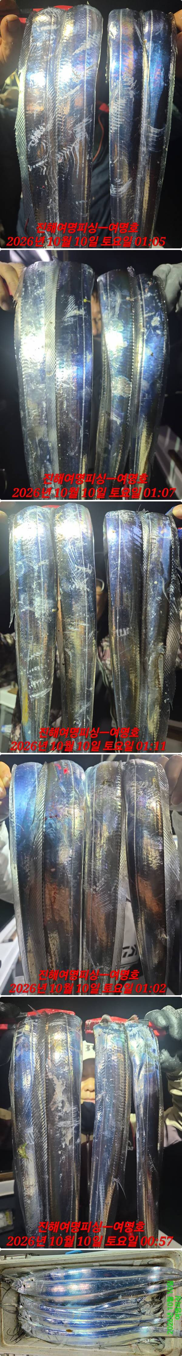 10일갈치하.jpg