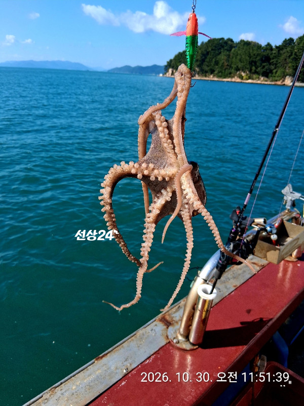 08D000B2-5A87-4FD6-9586-88FE6D7D33FE.jpeg