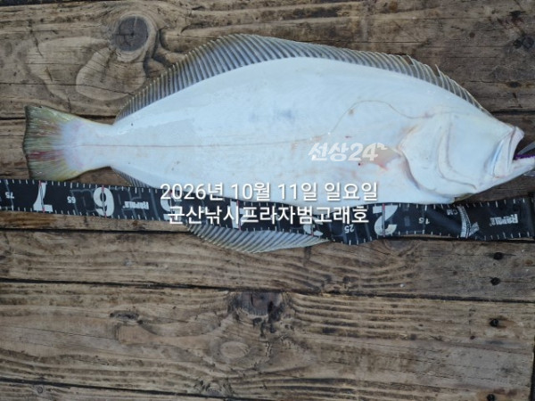 KakaoTalk_20261011_155448889_20.jpg