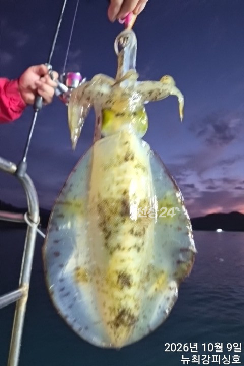 8.jpg