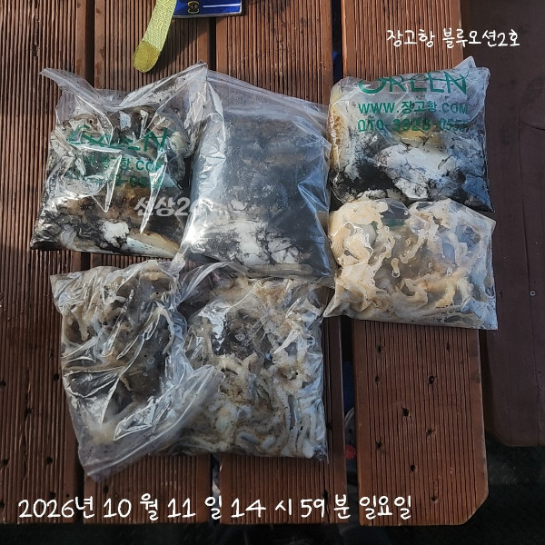 1000018670.jpg