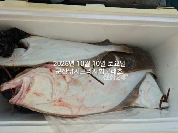 KakaoTalk_20261010_171909981_08.jpg