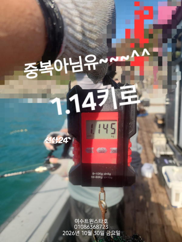 1000208304.jpg
