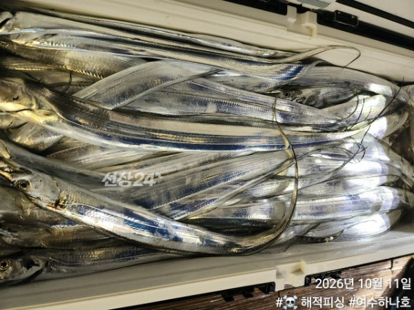 1791675821137.jpg