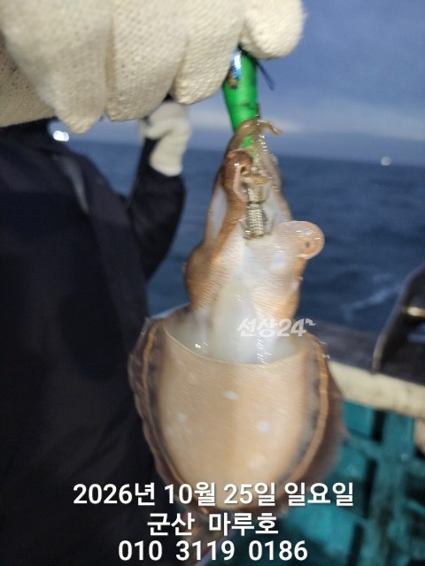 KakaoTalk_20261025_163308652_11.jpg