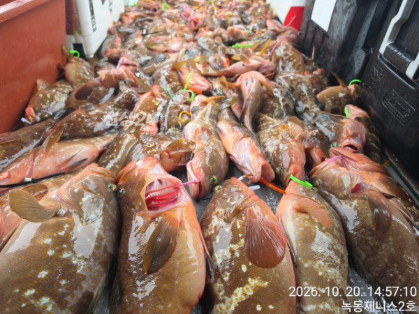 52334.jpg