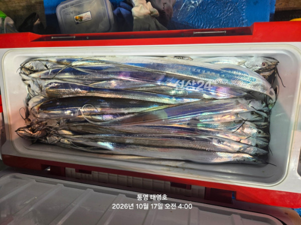 KakaoTalk_20261017_062519307_03.jpg