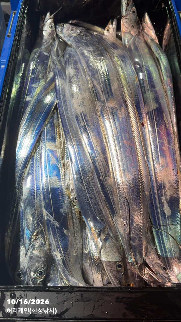 130947.jpg