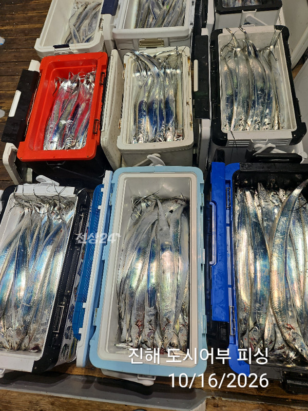 KakaoTalk_20261016_060819468_13.jpg