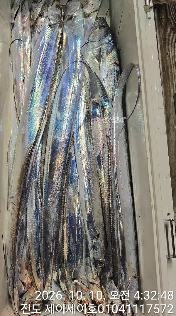 1000056610.jpg