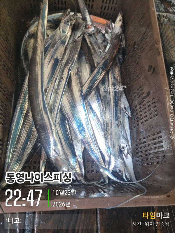 20261023_224710_글꼴-통영나이스피싱.jpg