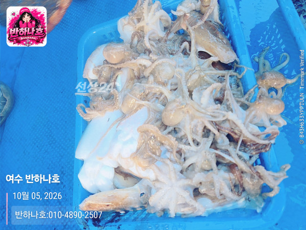 20261005_173743_제목-여수 반하나호_반하나호-010-4890-2507.jpg