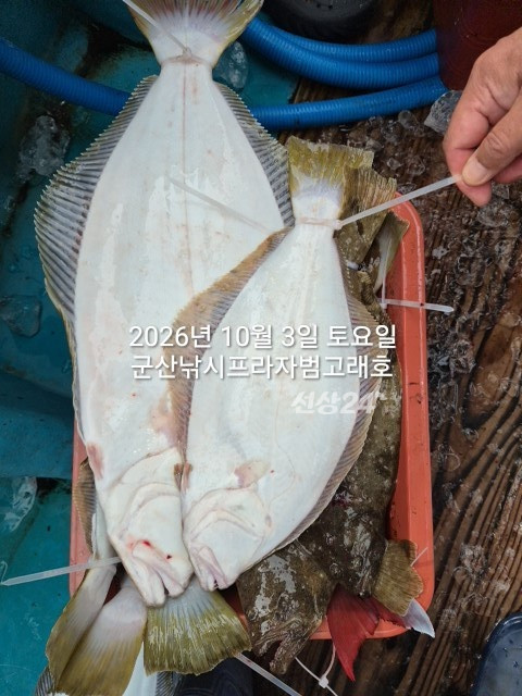 KakaoTalk_20261003_144137408_07.jpg