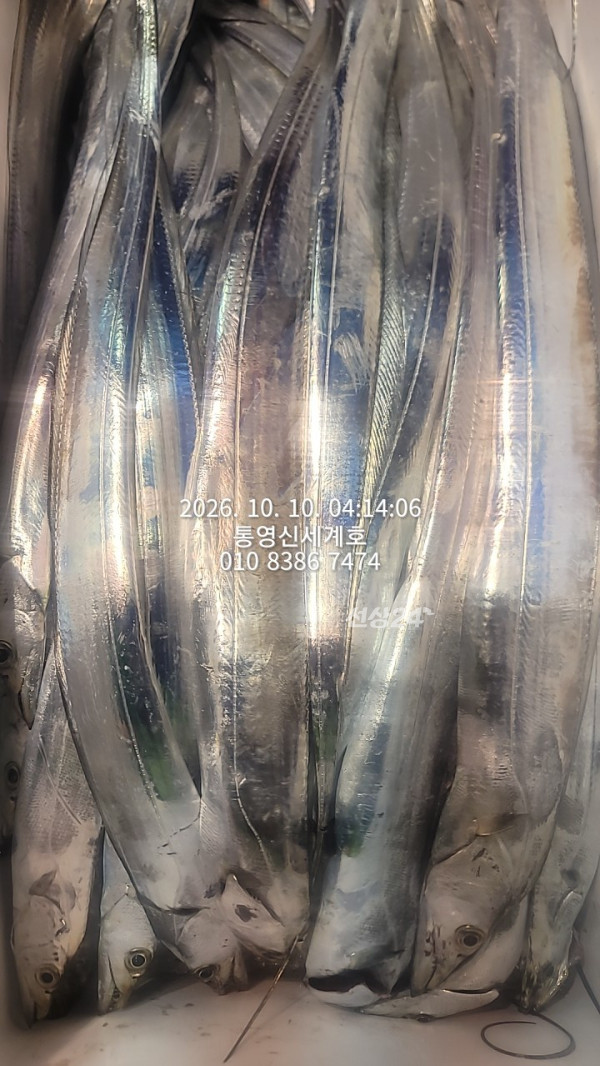 1791611604072.jpg