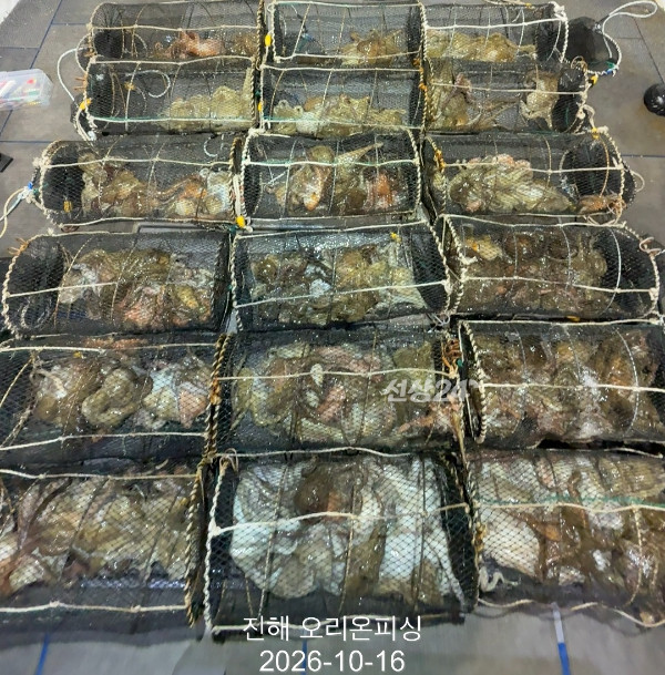 KakaoTalk_20261016_020529972_12.jpg