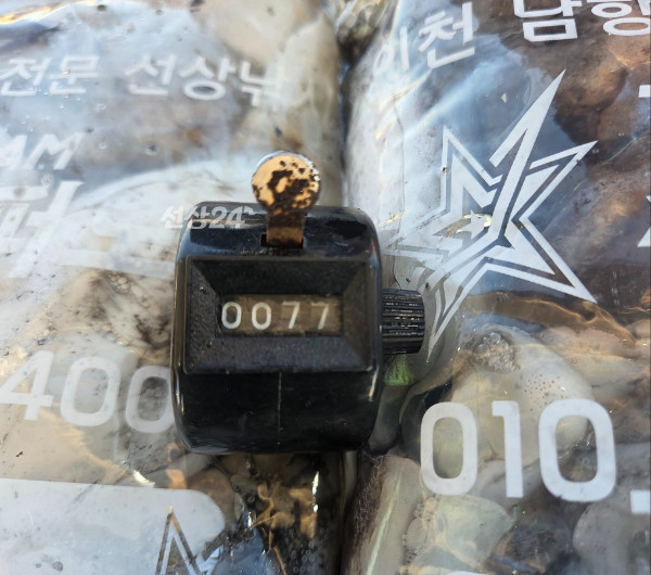 24644.jpg