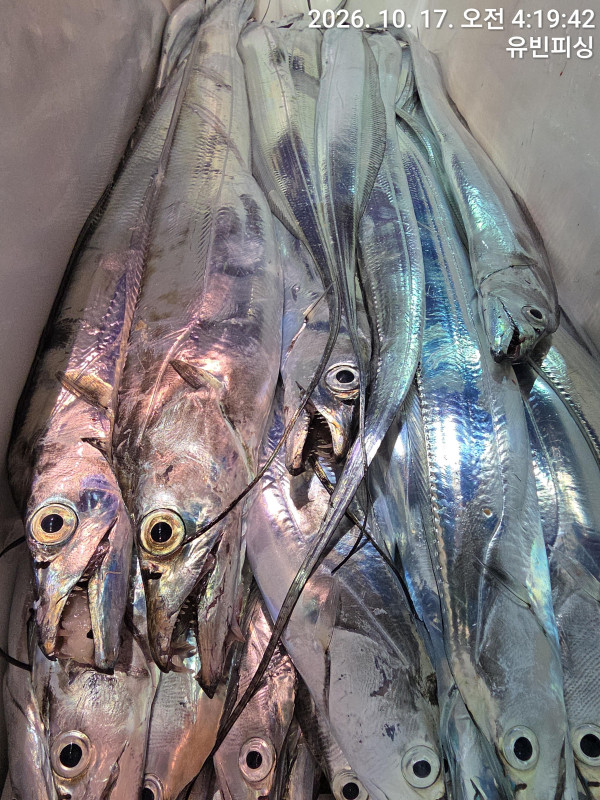 KakaoTalk_20261017_071402155_07.jpg