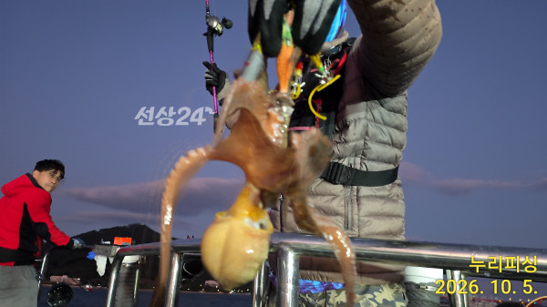 98898.jpg