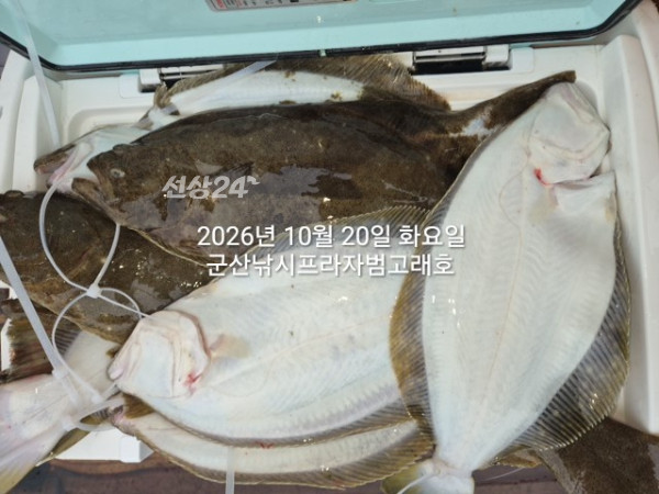 KakaoTalk_20261020_152311870_02.jpg