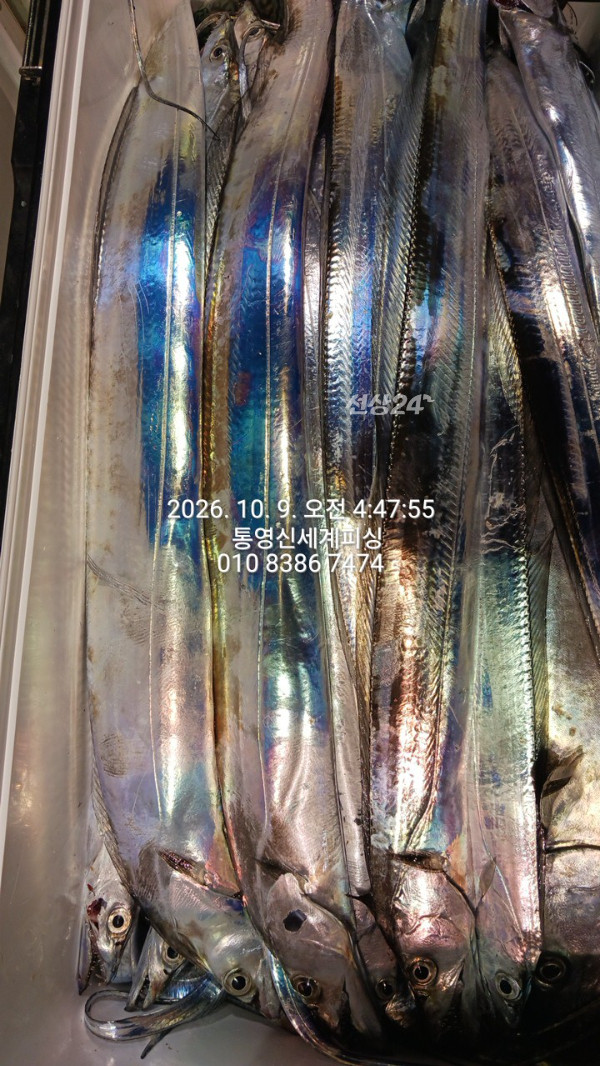 1791494464211.jpg