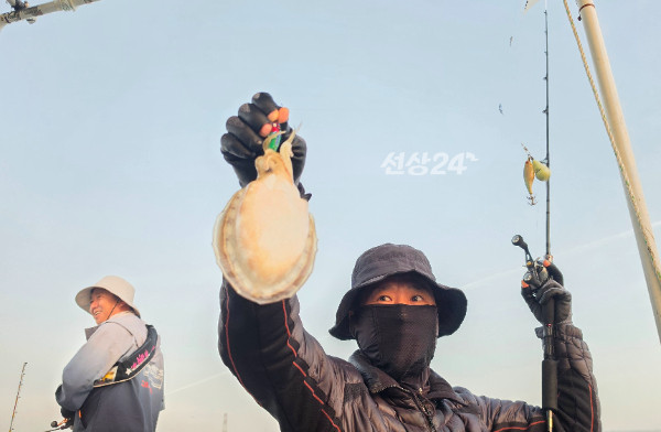 3799.jpg