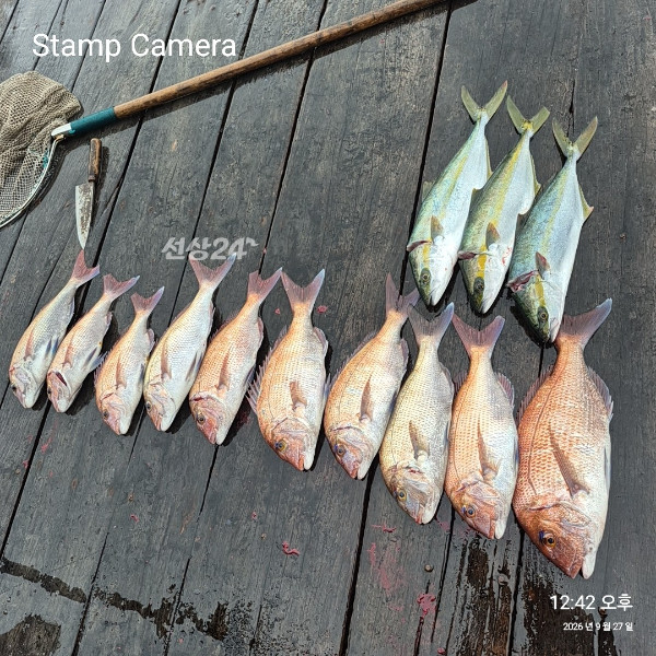 StampCamera20260927124200.jpg