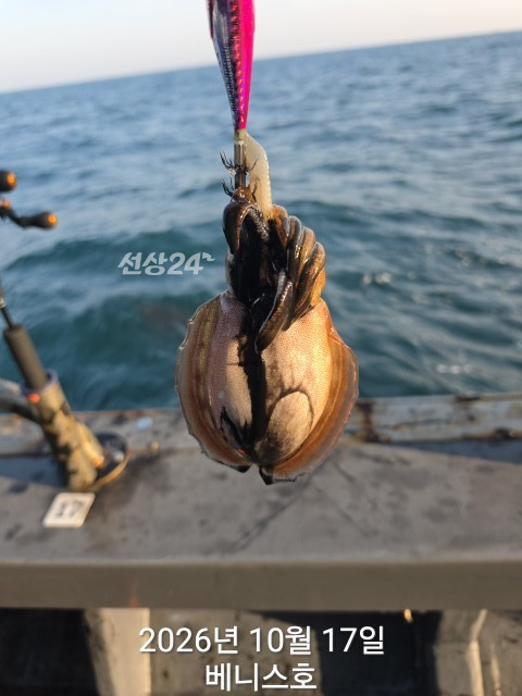 KakaoTalk_20261017_161012995_11.jpg