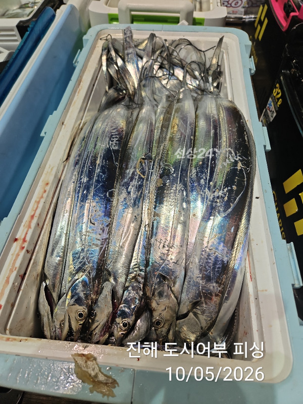 KakaoTalk_20261005_051530639_15.jpg