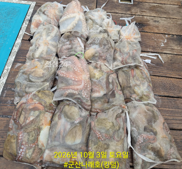 KakaoTalk_20261003_135140611.jpg