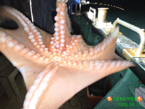 쎄븐피싱클럽(선상 버스출조전문)_사진_20261016_12.jpg