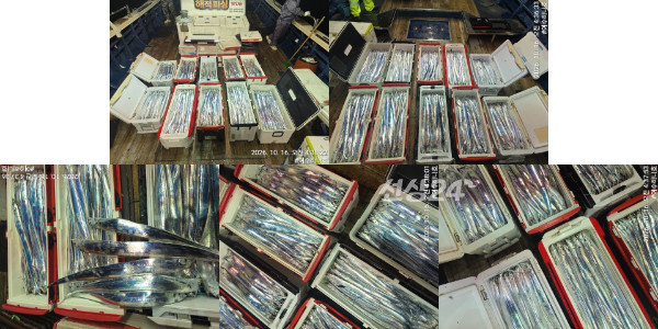 사본 - haejeok_5_original_collage.jpg