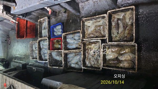 42905.jpg