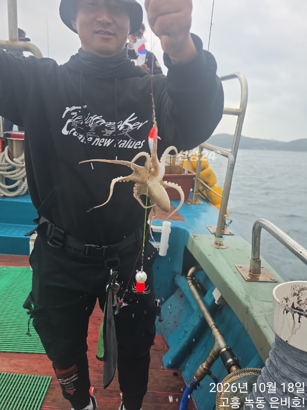고흥 녹동 은비호!(두족류,돌돔,외수질)_사진_20261019_10.jpg