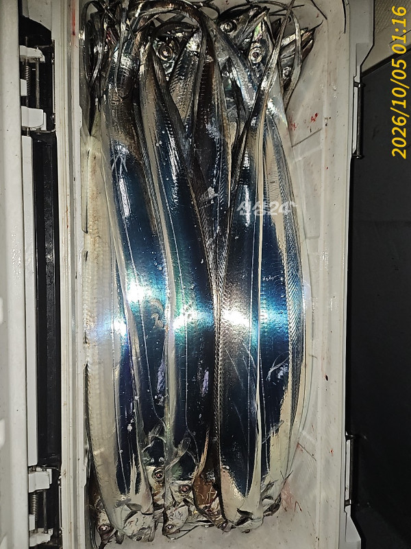 1000036677.jpg