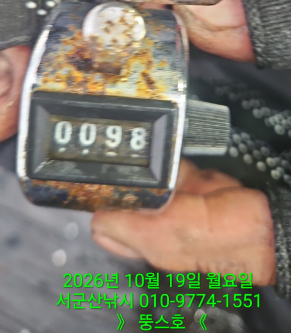 군산 선상낚시, 바다낚시 출조 전문 ☆서군산낚시☆_사진_20261019_8.jpg