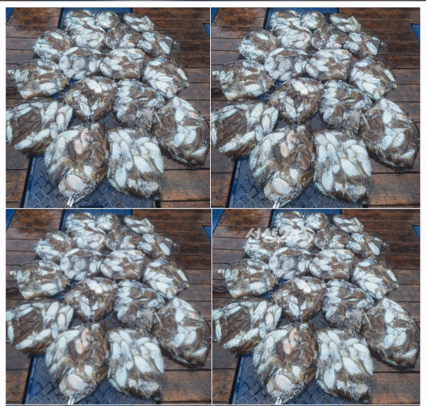 1000082126.jpg
