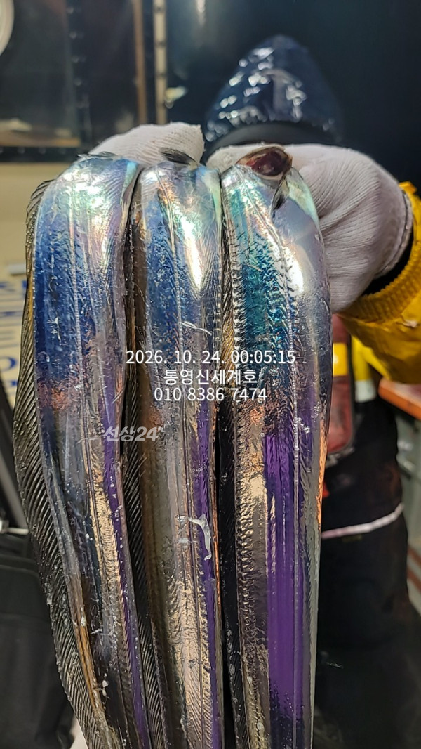 1792802506191.jpg