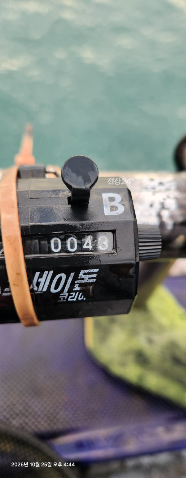 8068.jpg
