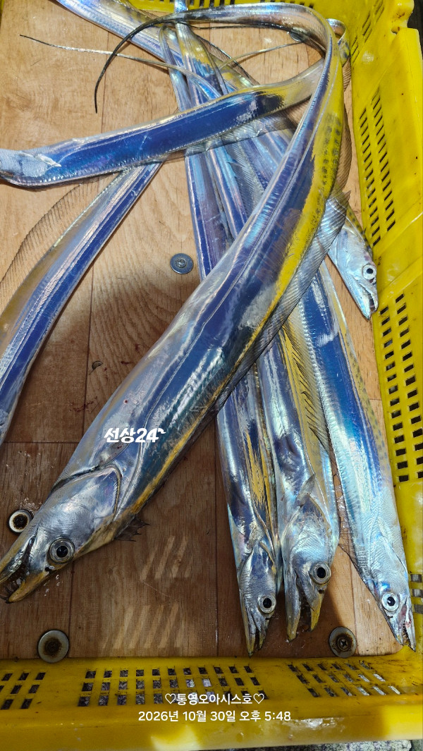 85492.jpg