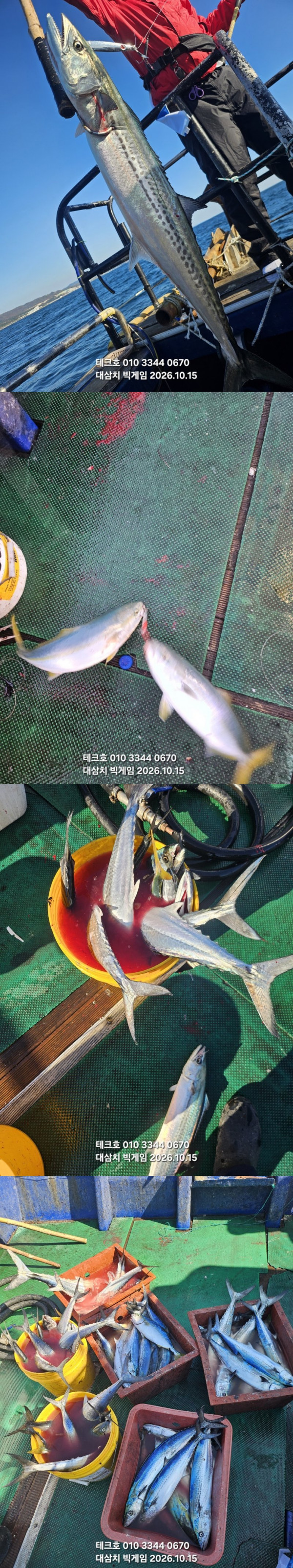 KakaoTalk_20261015_115038016_02-vert.jpg