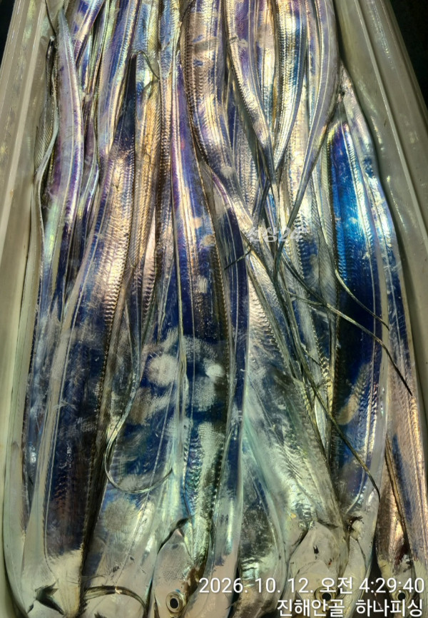 109779.jpg