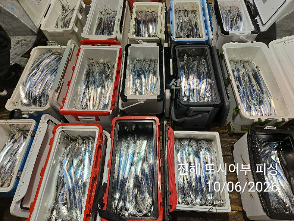 KakaoTalk_20261006_045311778_05.jpg