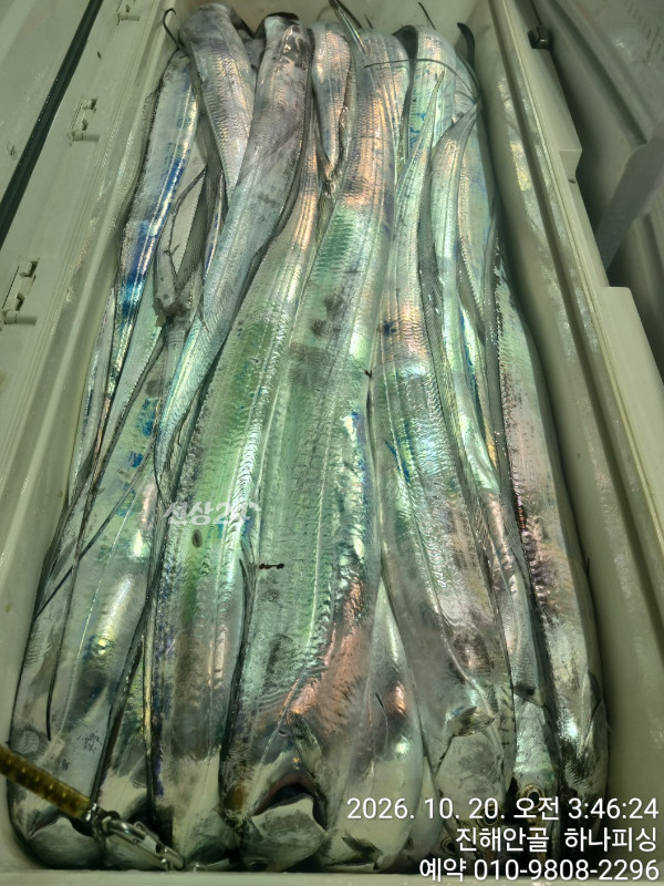 111045.jpg